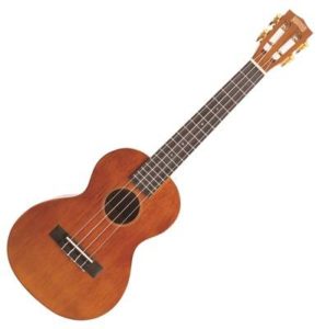 Malý hudební nástroj – ukulele