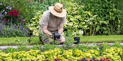 Dárky pro zahradníky a zahrádkáře – 15 praktických tipů