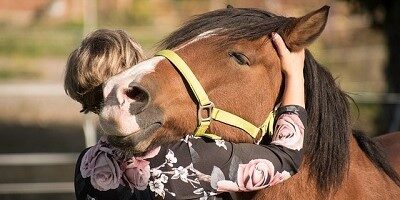Dárky pro milovníky koní – 13 tipů dárek pro koňáka