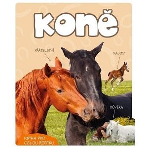 Dárek s koněm - Kniha o koních