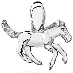 Dárek pro milovníky koní - Přívěsek na řetízek s koněm