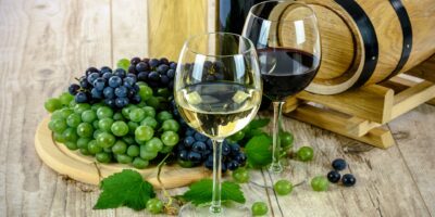 Nejlepší víno – bílé, červené, růžové, portské, šumivé